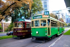 Tram 35 -Melbourne Free Tourist Tram