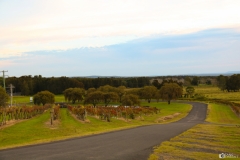 Coolangatta Estate