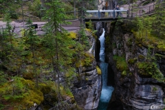 Maligne Canyon