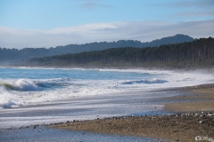 Haast Coast Area