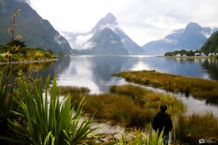 Milford Sound